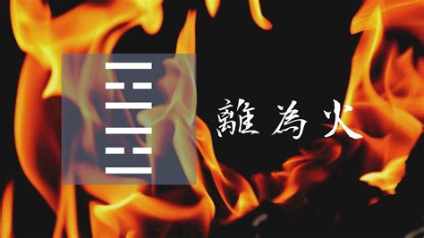 離為火卦|離為火卦詳解30